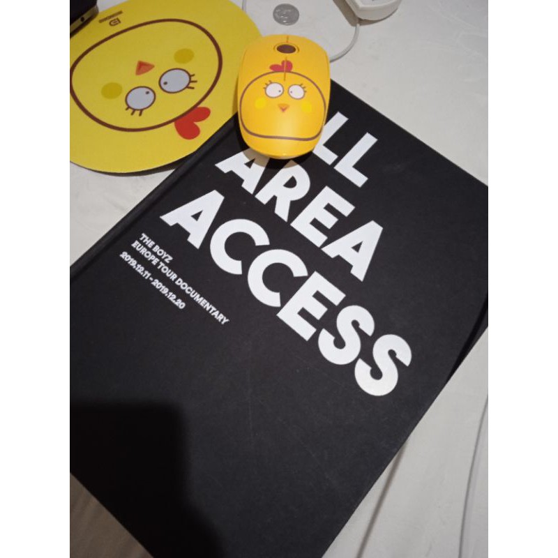 The Boyz - All Area Access (AAA) Photobook
