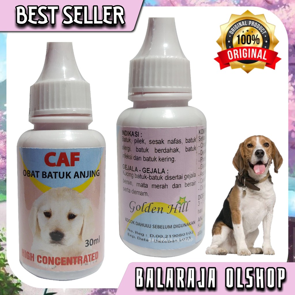 OBAT BATUK ANJING PUPPY PILEK FLU SESAK NAFAS - CAF DOG