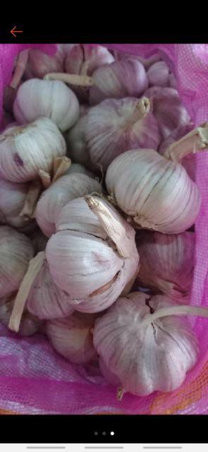 Bawang Putih Murah Siung Besar2 Bersihan Berat 1kg