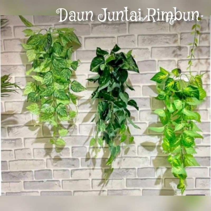 Daun Juntai Rimbun / Daun plastik merambat (Tanpa Pot)