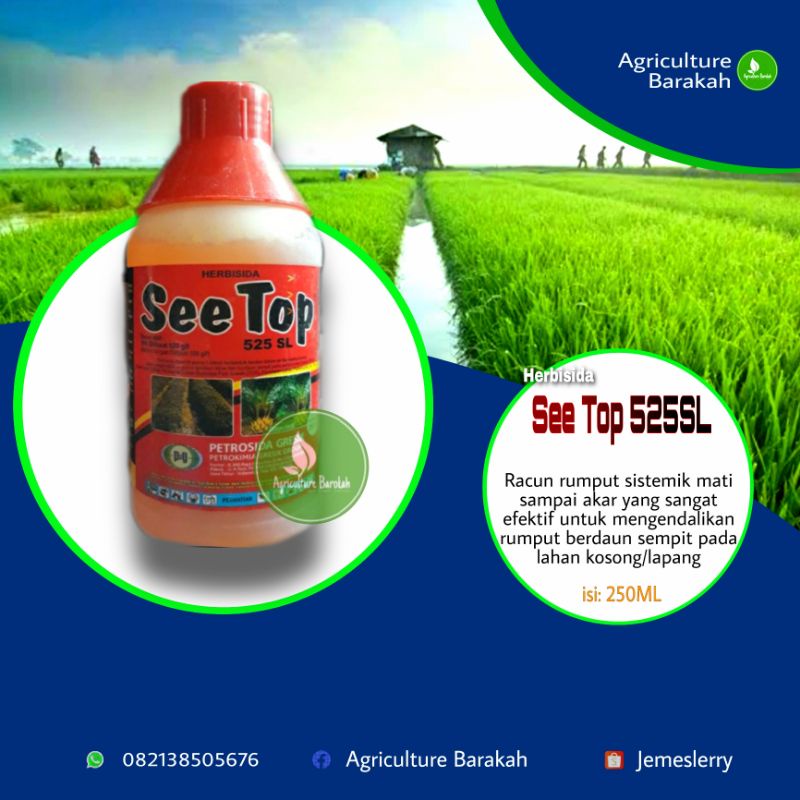 SeeTop 250 ML See Top 250 ML pembasmi rumput