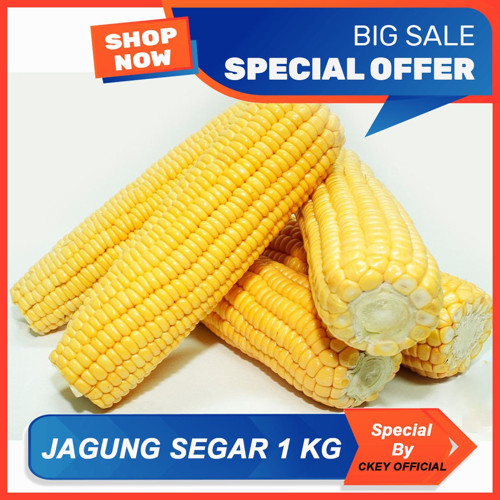 

Jagung Manis Segar 1 Kg Sayuran Segar Buah Segar Bawang Merah Bawang Putih CKEY OFFICIAL
