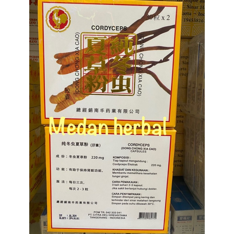 Dong Chong Xia Cao Powder Capsule (Cordyceps)