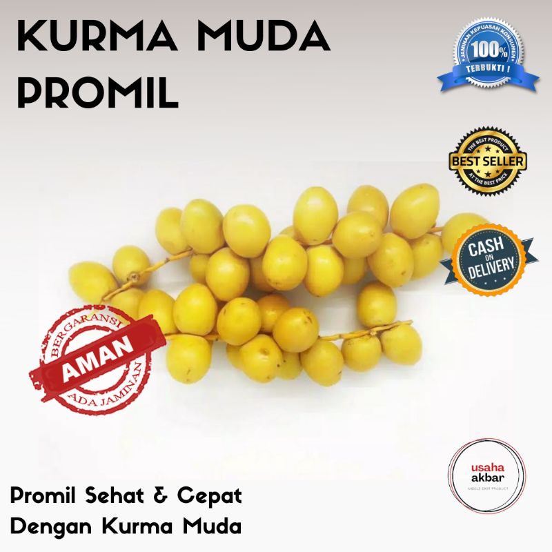 

Kurma Muda Untuk Promil Kuning Merah Hijau Fresh (1kg)