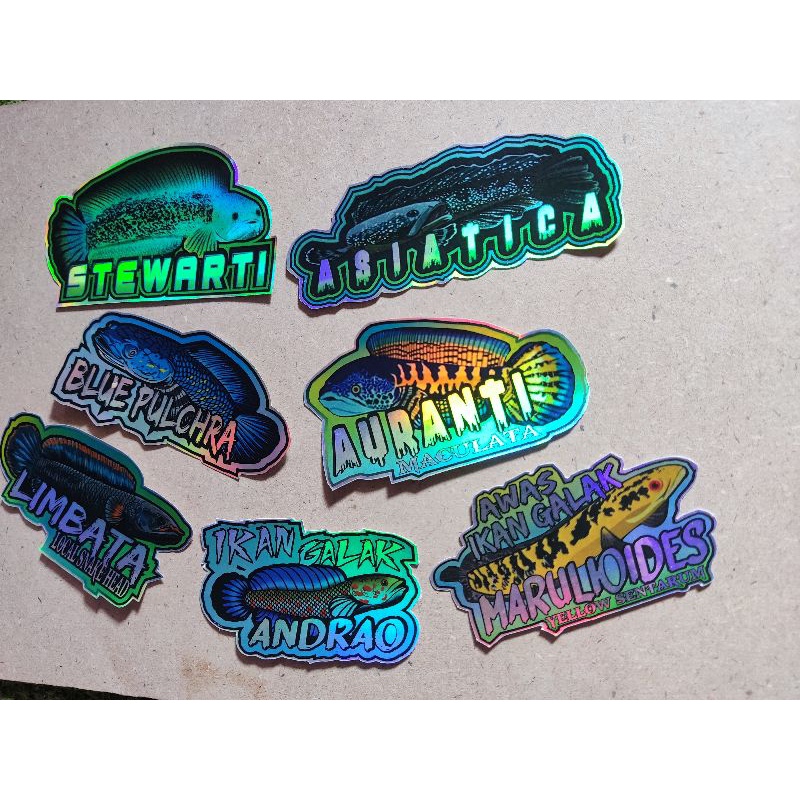 STIKER HOLOGRAM IKAN CHANNA