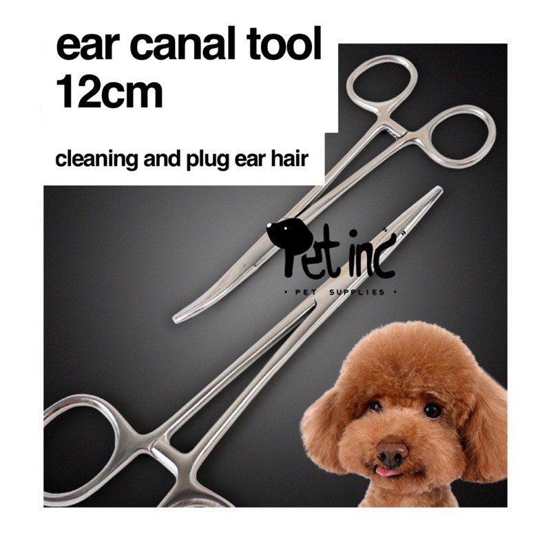 Ear canal cleaner tool