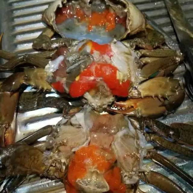 

KEPITING BAKAU BERTELUR FRESH HIDUP BERAT 3 ekor perKG