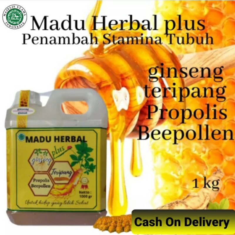 

Madu Ginseng Penambah Stamina | Madu Asli plus Ginseng, Teripang dan Propolis 1kg "Al Mar'ah