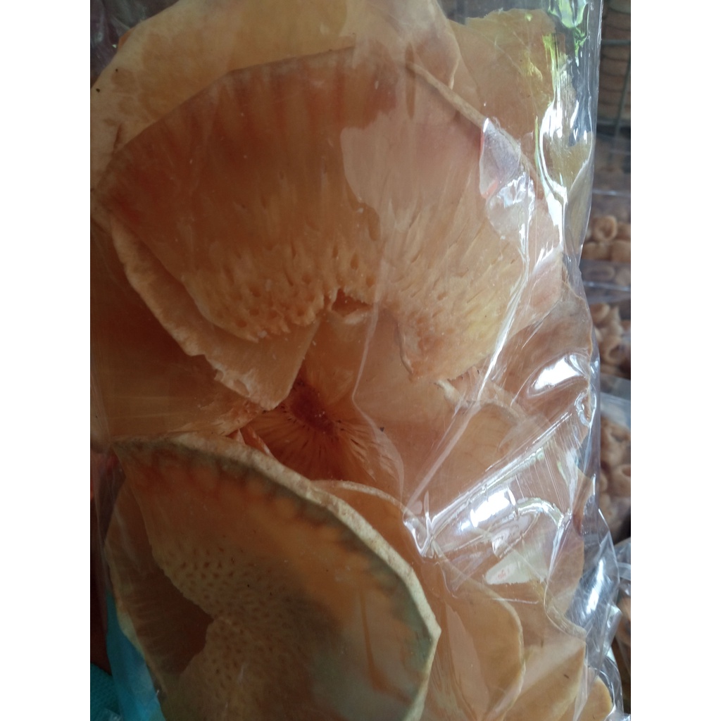 

PROMO CAMILAN KERIPIK SUKUN BULAT SNACK KRIPIK SUKUN TERMURAH