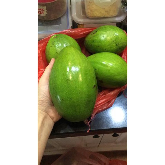 

Terbaru Kantong Buah Garansi