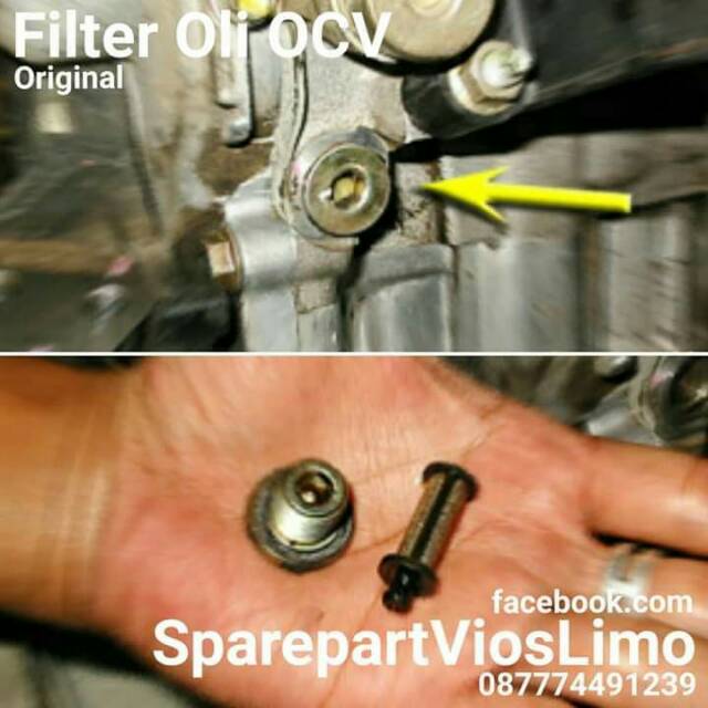 Filter Oli OCV VVTi Vios Yaris Limo