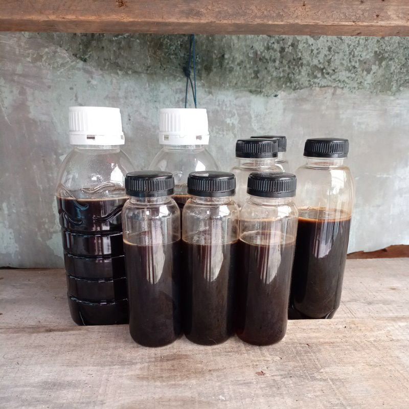 

[ GROSIR ] Madu Hutan Akasia 1kg | Madu Lebah Mellifera | Madu Hutan Asli | Madu Murni | Madu Akasia Asli | Madu Hitam | Madu Grosiran | Grosir Madu