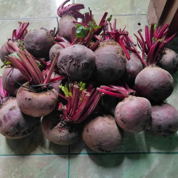 

@=@=@=@=] Buah Bit/Beet Root 1kg