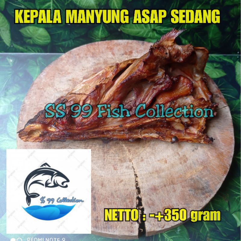 

kepala manyung asap - Kepala manyung asap ukuran sedang