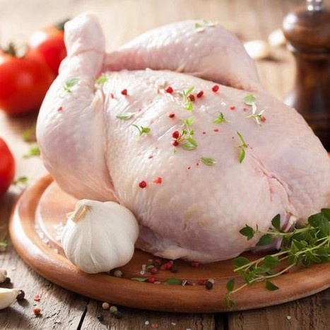 

Ayam Broiler 600-700 gr