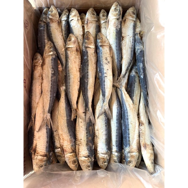 

IKAN ASIN SIRO / SERO / Japu