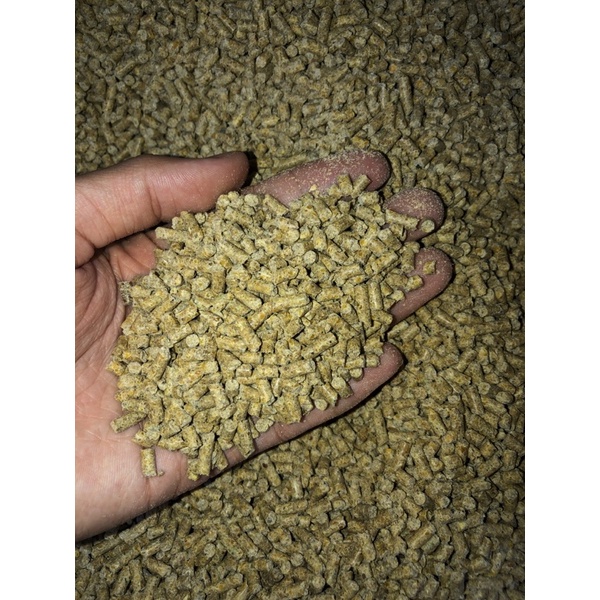 pelet 551/kg makanan babi
