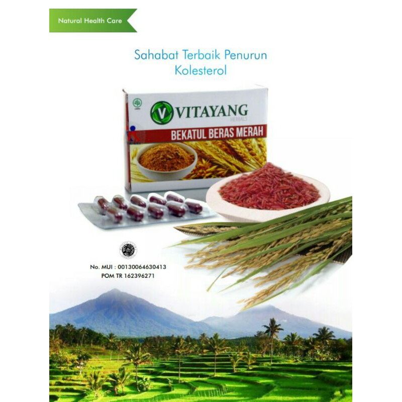 

VITAYANG BEKATUL BERAS MERAH (30 kapsul) - Penurun Kolesterol (KK Indonesia)