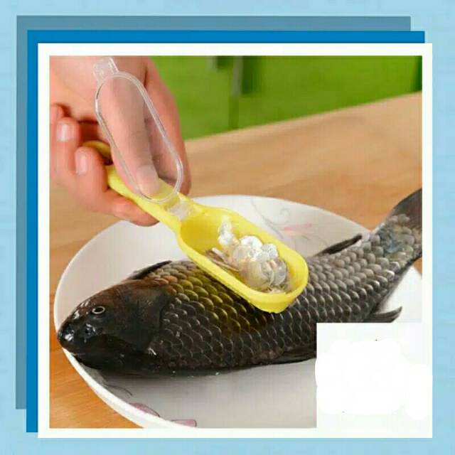 Alat Pembersih Sisik Ikan , Alat Pengupas Sisik Ikan , Kerokan Sisik Ikan , Pengeruk Sisik Ikan