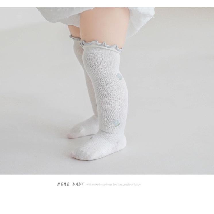Baru Terkini kaos kaki anak bayi sora socks