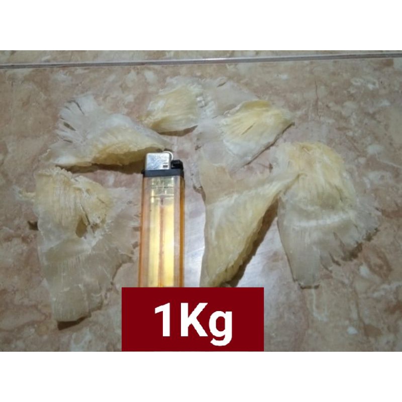 

Hechi/Siripikan hiu kering/sirip ikan