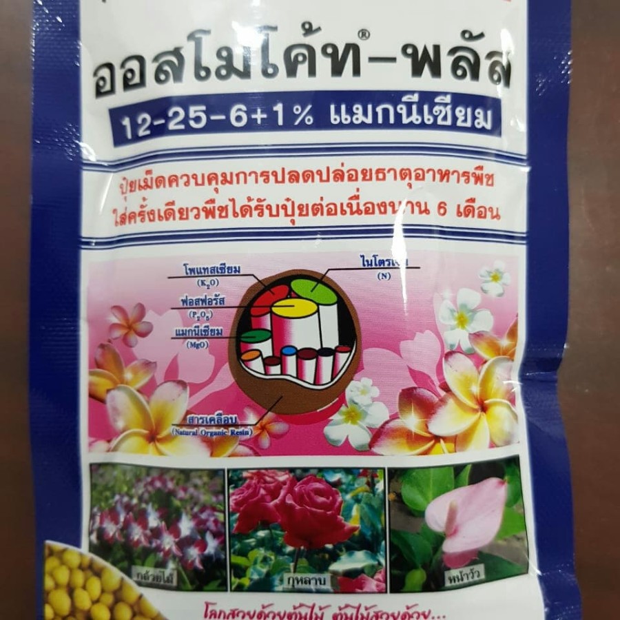 PUPUK BUNGA DEKASTAR OSMOCOTE THAILAND KEMASAN ASLI 100GR