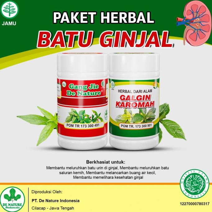 

BAYAR DITEMPAT Obat Luruh Batu Ginjal / Kencing Batu Herbal de Nature /OBAT HERBAL ASAM URAT/OBAT HERBAL PELANGSING/OBAT HERBAL KOLESTEROL/OBAT HERBAL DIABETES