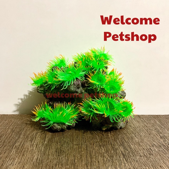 Coral Rumput Laut / Aksesoris Aquarium / Hiasan Aquarium