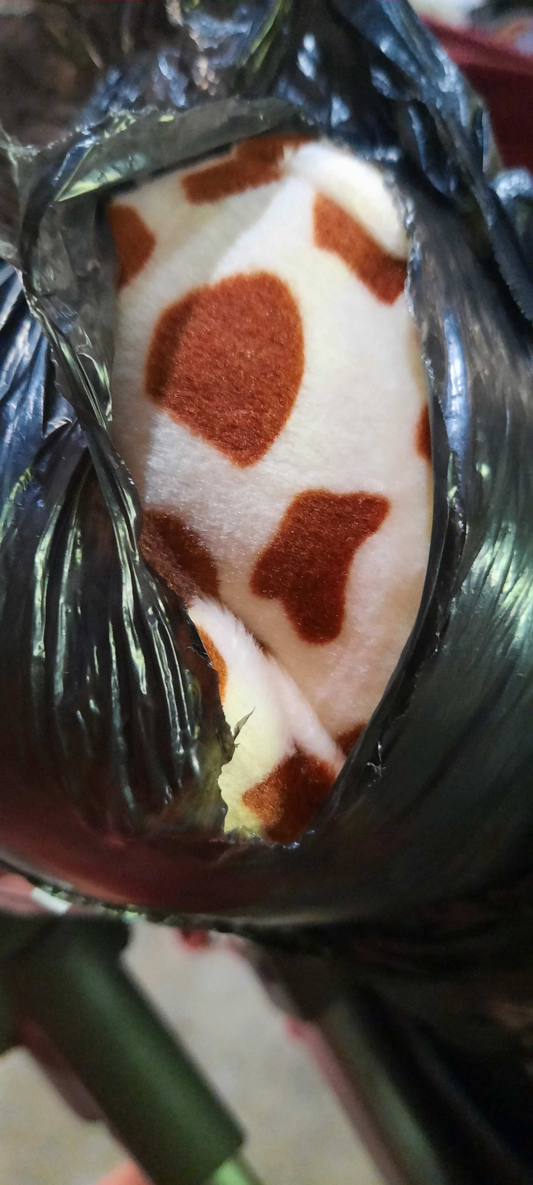 Cover Tutup Tissue Karakter