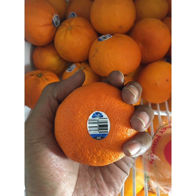 

Jeruk afourer australia / jeruk mandarin afourer ausi / seedless