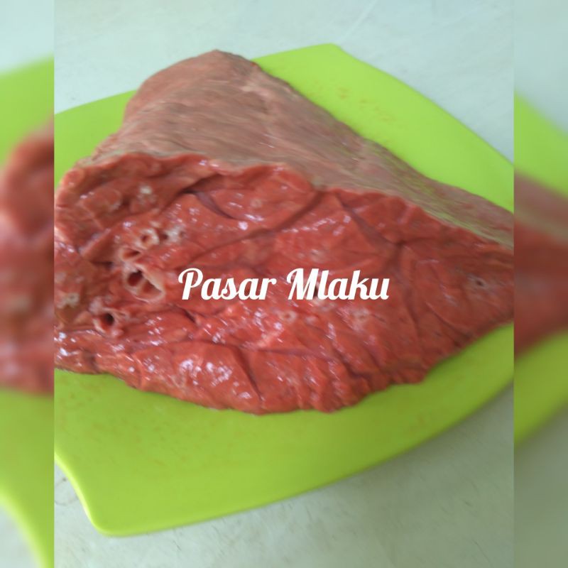 

PARU SAPI FROZEN 500gr