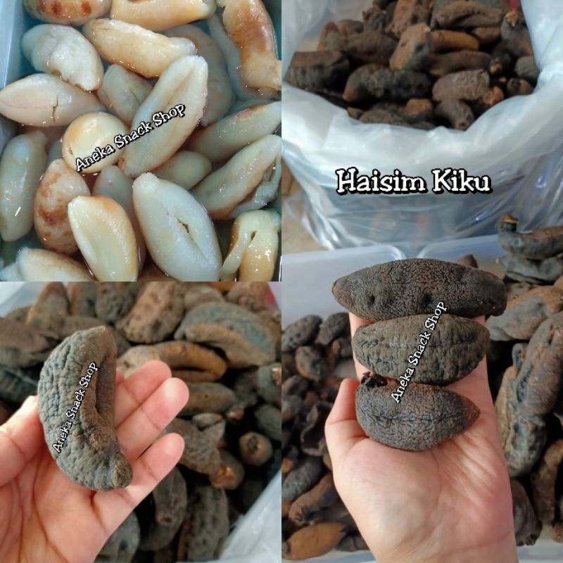 Haisim Kiku / Jai Kok Sim / Teripang Kering / Hoisom / Haisom / Timun Laut / Sea Cucumber / Lintah L