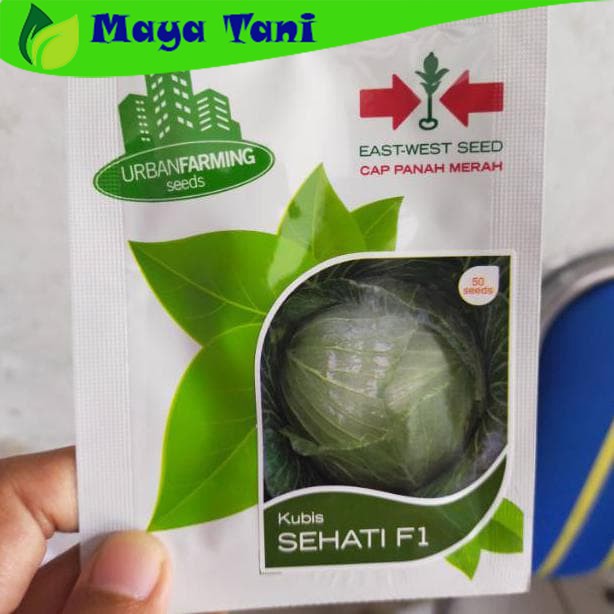 Benih Kubis SEHATI F1 Isi 50 Seeds - Panah Merah