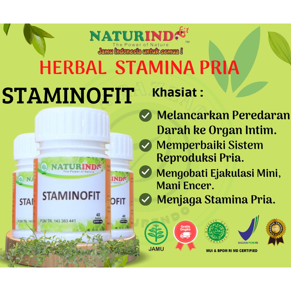 OBAT PROGRAM HAMIL PRIA Staminofit Naturindo