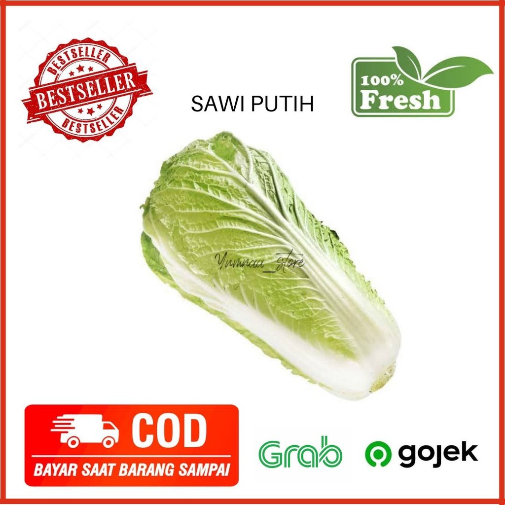 Jual Sawi Putih Sayur Sayuran Fresh 500 Gram Shopee Indonesia 