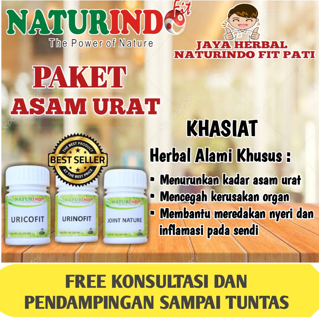 Obat Asam Urat, Jamu Asam Urat Herbal Naturindo