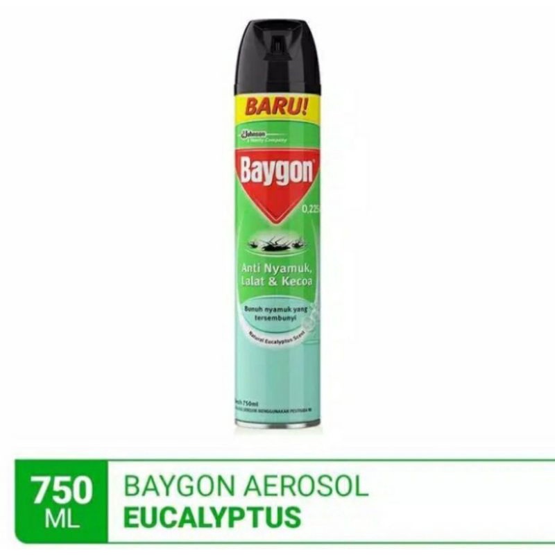 Baygon Aerosol Eucalyptus 750ml