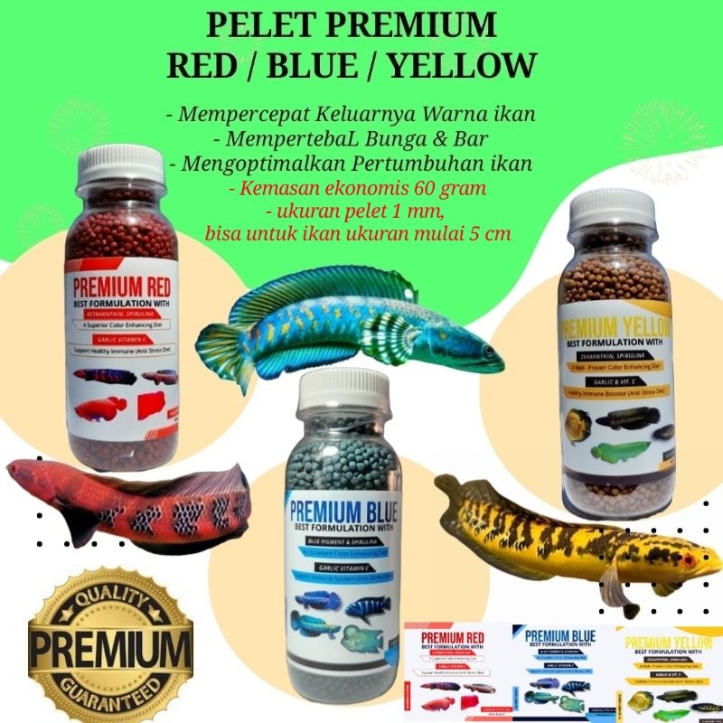 Pelet PREMIUM RED BLUE YELLOW 60 gram kemasan botol untuk Chana Louhan Arwana Oscar