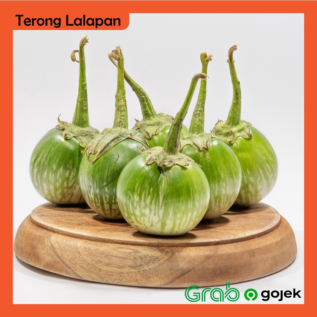 

Terong Lalapan 500 gram