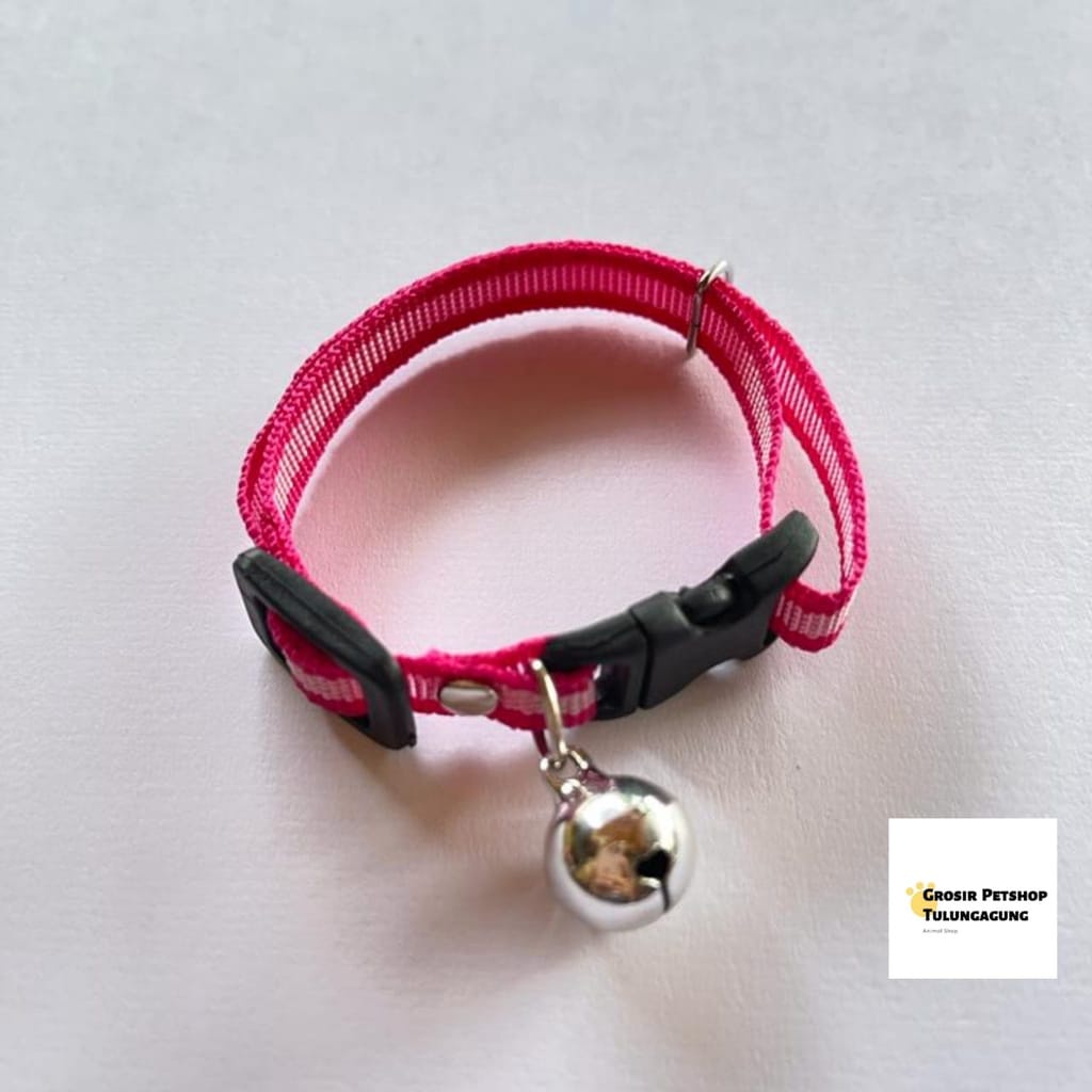 Paket Botol Dot 50Ml dan Susu Cat Milk(free kalung kucing)