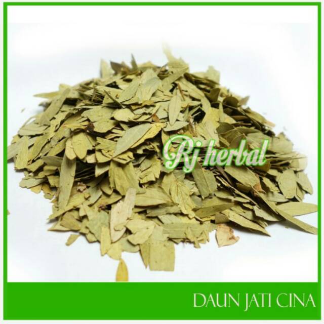 [100 gram]  Teh Daun Jati Cina / Senna leaf - Teh Pelangsing &amp; Detox Alami