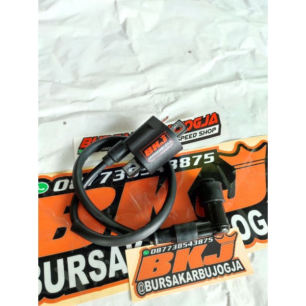 pengapian yz / kimcil bkj eceran risetan bursakarbujogja