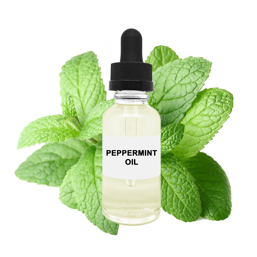 100% Pure Peppermint Oil / Minyak Peppermint Murni Mint 30mL