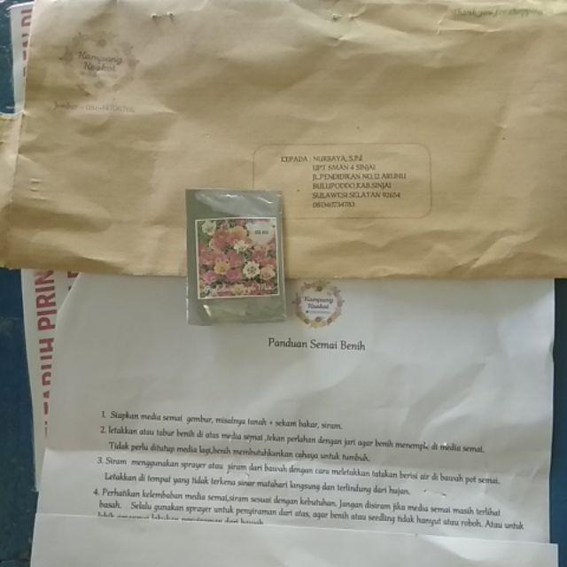 Portulaca Single Mix - Isi 150 Biji