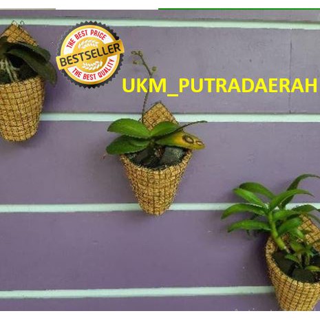 Pot Anggrek Kerucut / Pot Serabut Kelapa / Pot Tempel Dinding Serabut Kelapa Anggrek / pot serabut