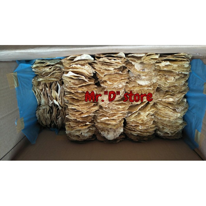

KERUPUK JENGKOL KRISPY / KERUPUK JENGKOL TINGGAL GORENG