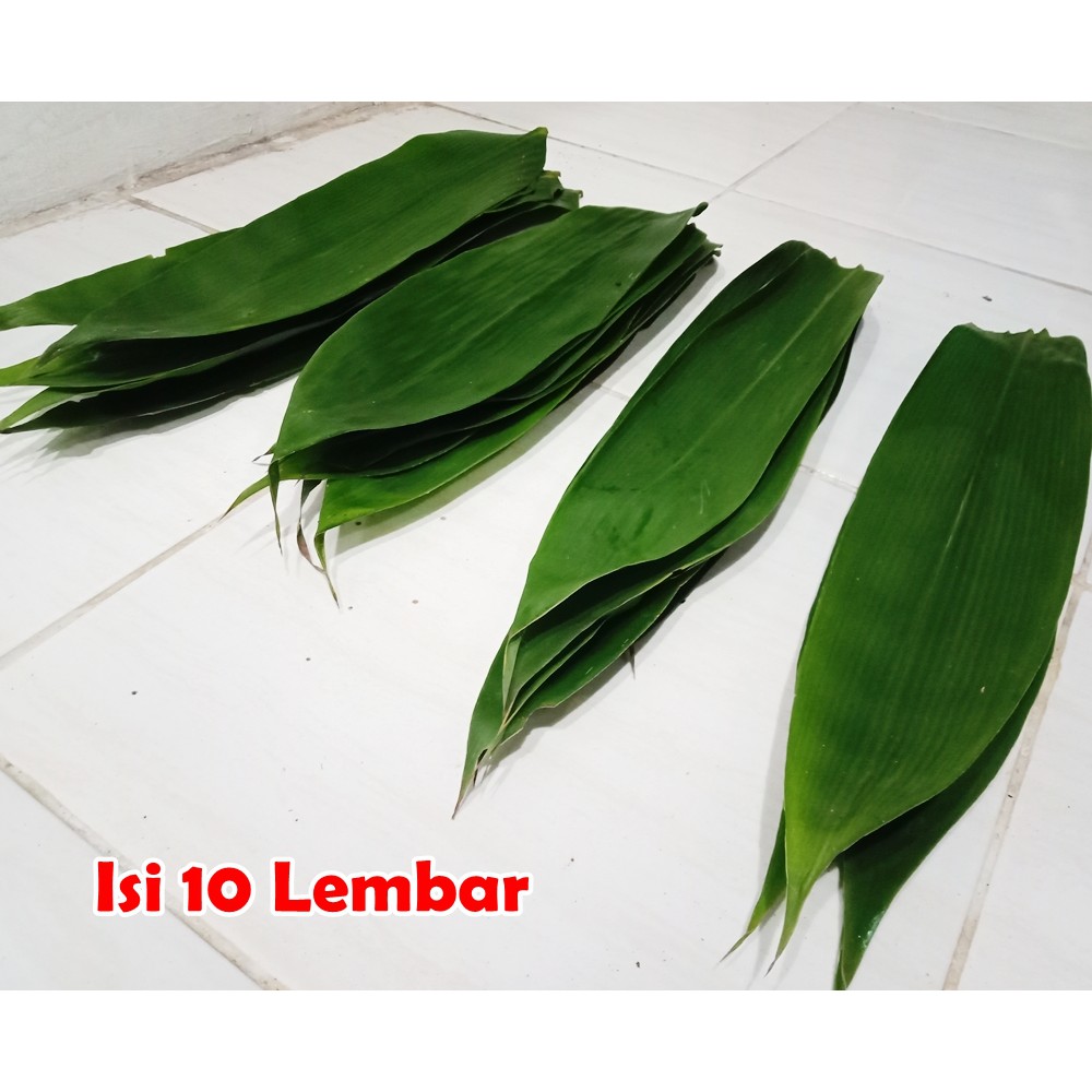 

Daun Bambu Segar Untuk Obat Herbal Dan Pembungkus Makanan 10 Lembar