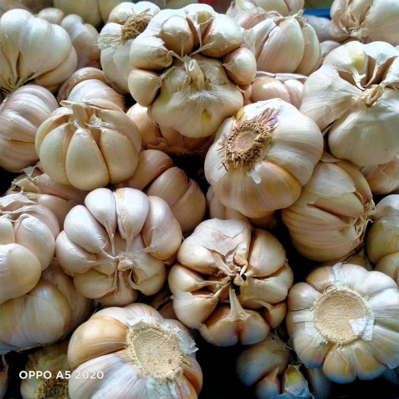 

COD✓bawang putih kelanting super pilihan 1kg
