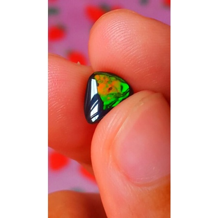 BLACK OPAL BANTEN HQ . Jarong nyala siang malam (size kantoran)