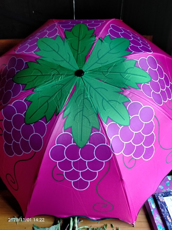 Payung Motif Buah Seger